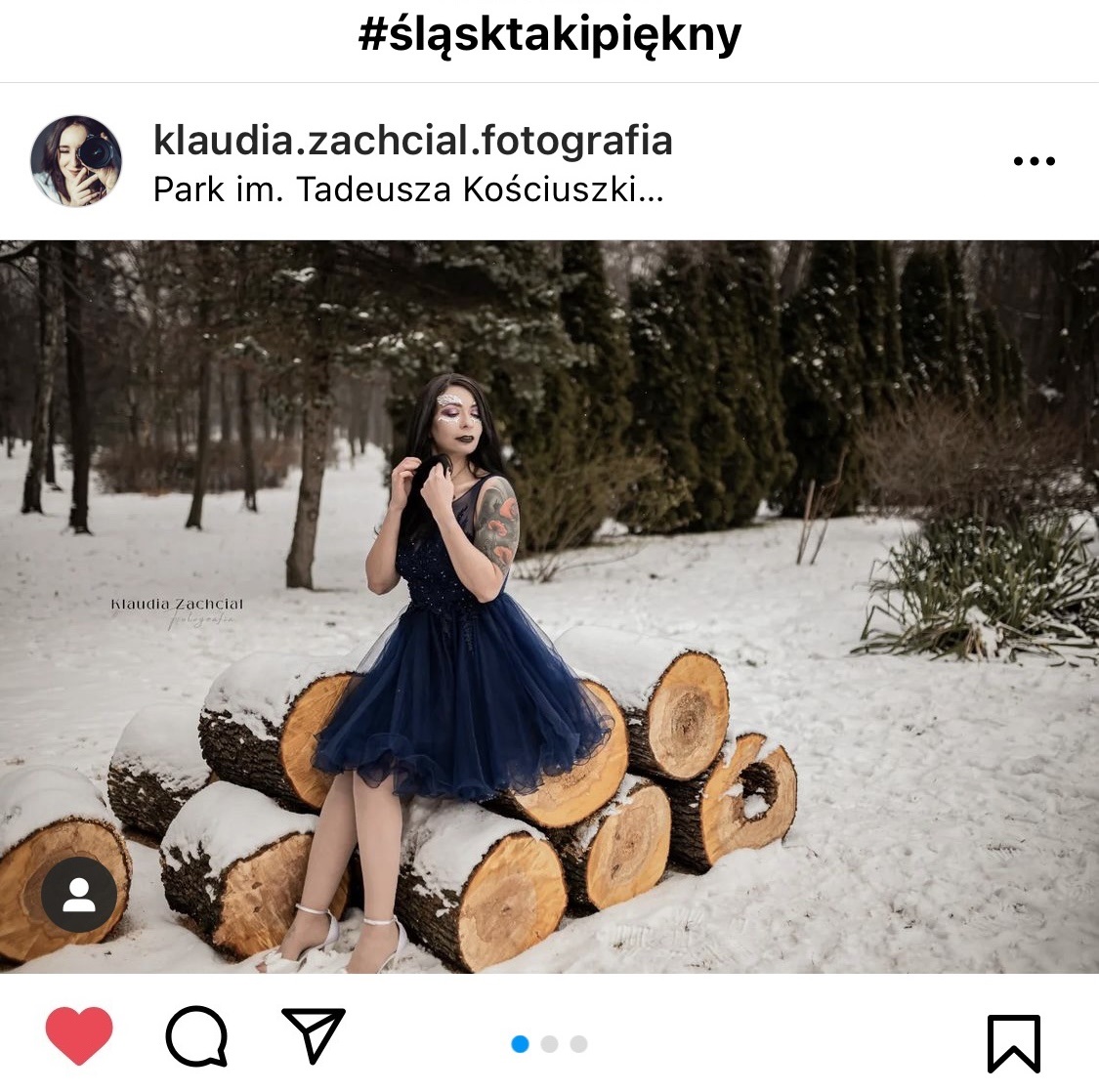 Koieta w sukience siedząca na drewnie w parku. Dookoła śnieg, ona w sukience. #śląsktakipiękny