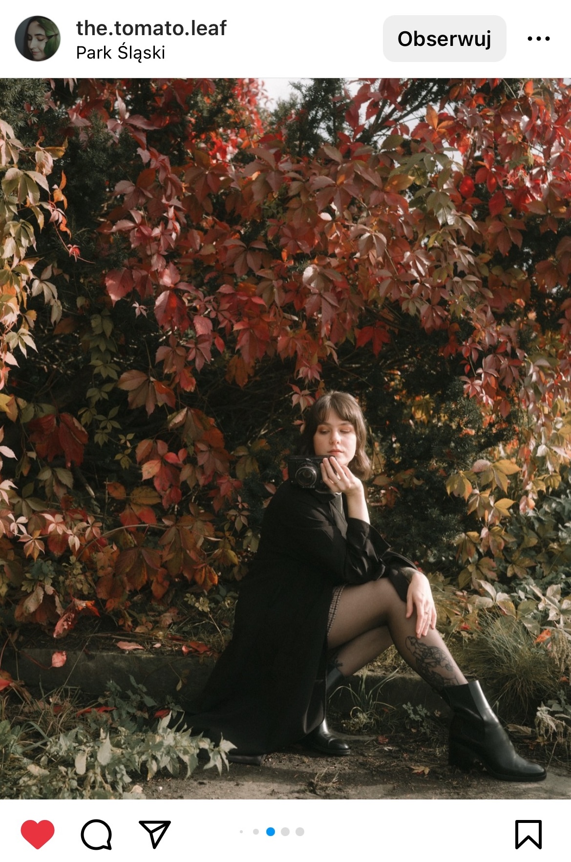 kobieta siedząca w jesiennym drzewie #śląsktakipiękny