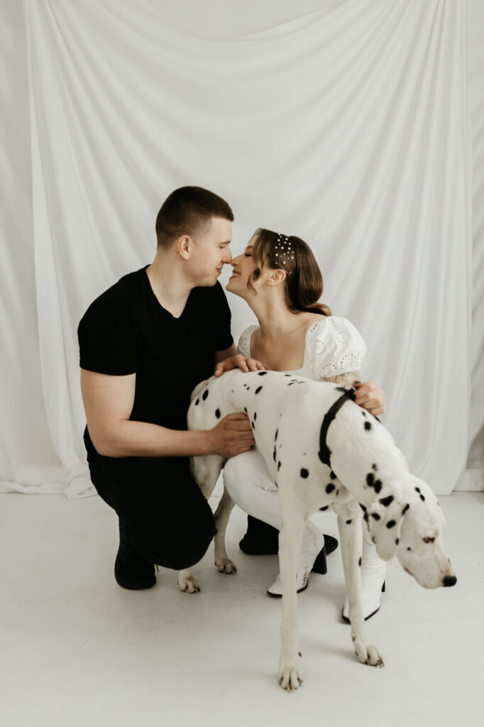 pies dalmatyńczyk sesja fotograficzna